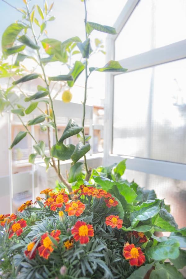 Beautiful And Comfortable Apartment At Marina Zeas Piraeus Buitenkant foto